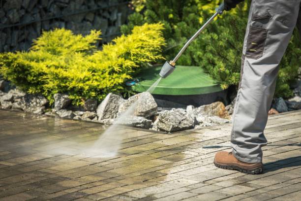 Best Boat and Dock Cleaning  in West Hammond, NM